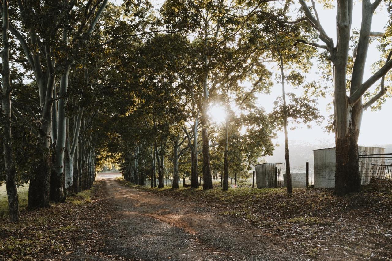 Blackwattle Farm Бирва Экстерьер фото