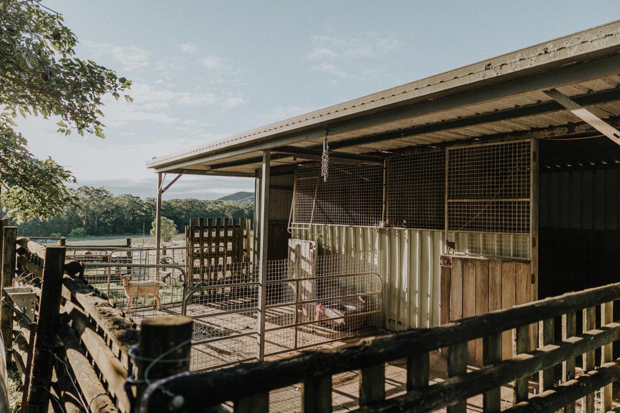 Blackwattle Farm Бирва Экстерьер фото